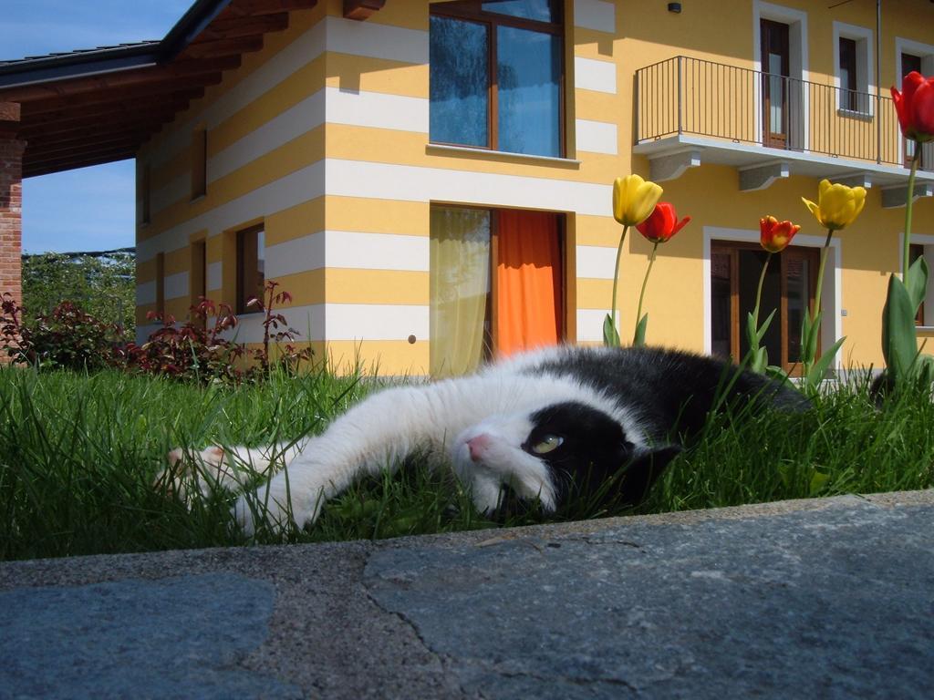 Agriturismo Fior Di Campo Дронеро Экстерьер фото